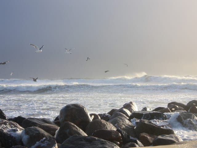 {
  "text": "Urlaub in der Nebensaison",
  "heading": "h5"
}