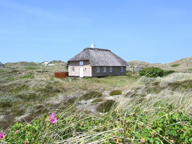 Klitgryden 11