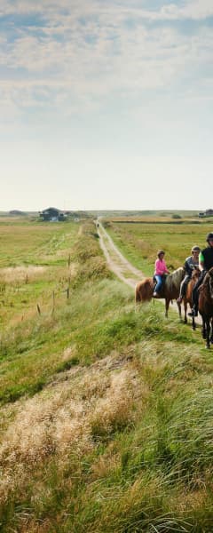 Børn Rider I Hesteflok