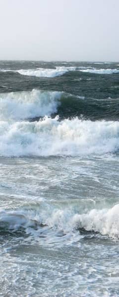 Storm Nyhed