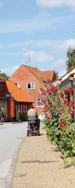 Den Gamle Bydel