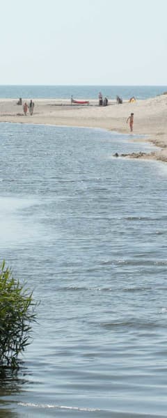Henne Moelle Aa Sommer