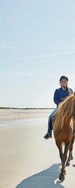 Pige På Hest Blåvand Strand