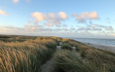 Feriepost fra Nordsee Holidays