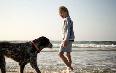 Urlaubspost aus Nordsee Holidays