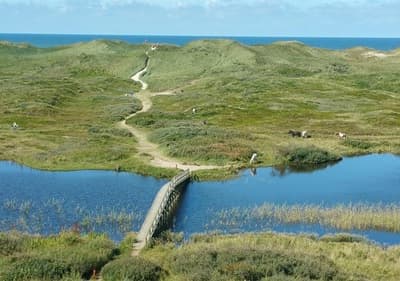 Nymindegab Sø Og Hav