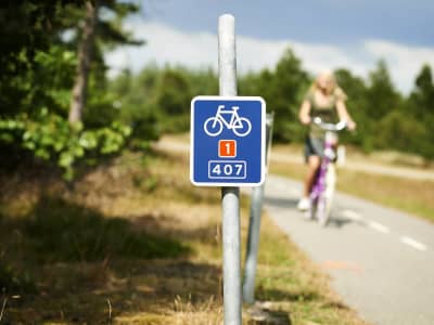 Destination Sydvestjylland Fanø Cykelruteskilt