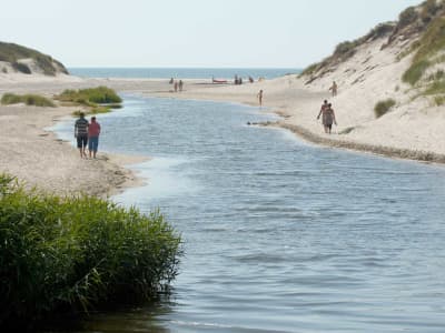 Henne Moelle Aa Sommer