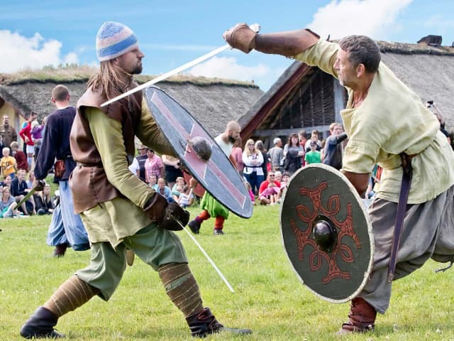 Bork Vikingehavn Kriger