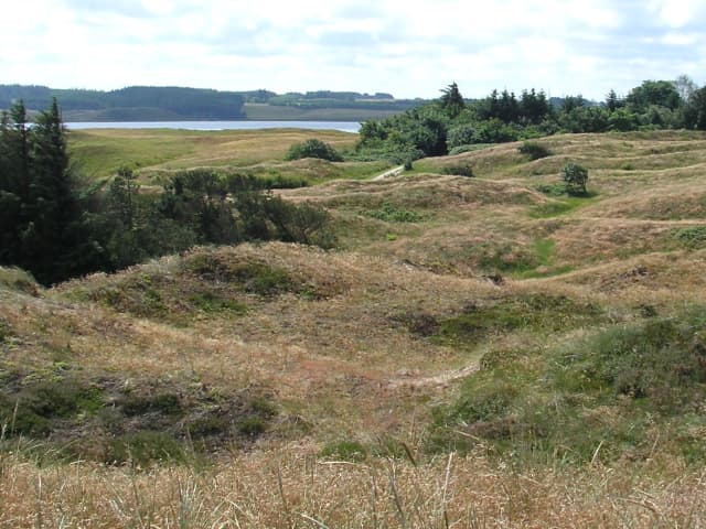 Thy Nationalpark