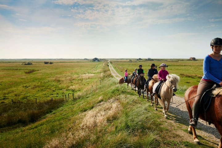 Børn Rider I Hesteflok