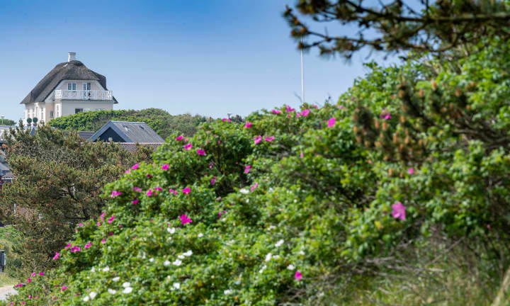 Sommerhuse I Vejers 01 (2)