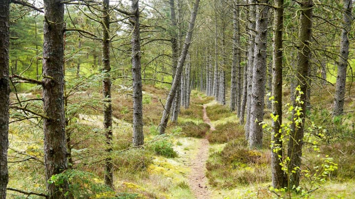 20170908 Rentz Kyst Til Kyst Kryds Ho Blåvand Varde