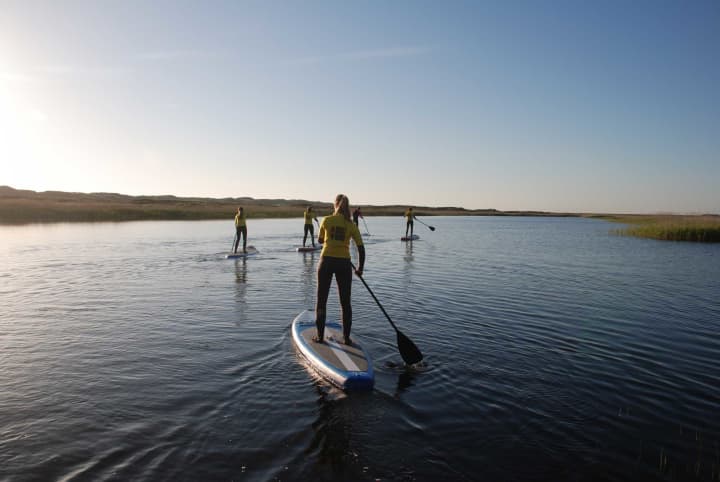 Aktiviteter Surfing Westwind2