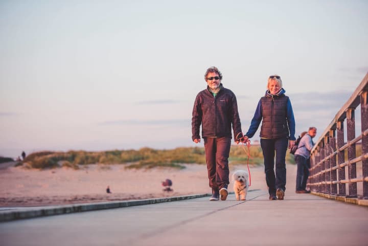 Par Går Tur Med Hund På Badebro