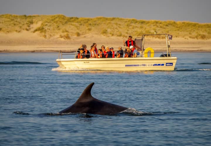 Delfinsafarim.Båd3 (1)