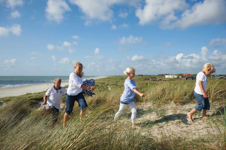 Familieklitter Henne