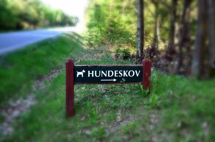 Hundeskov Husby