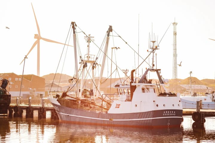 Skib Hvide Sande Havn