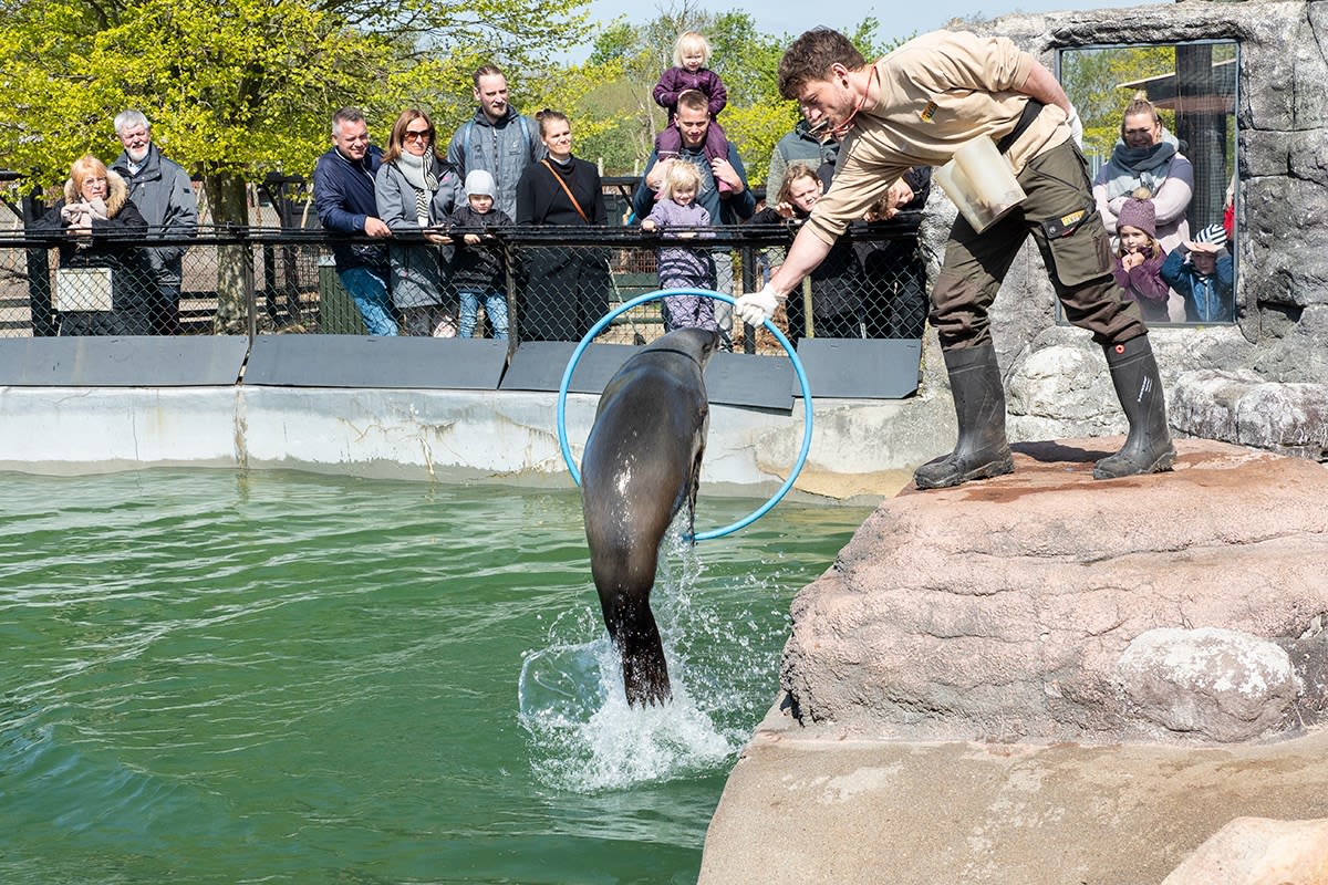 Jyllands Park Zoo