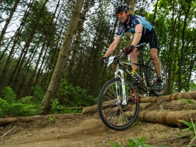 Mountainbike I Skoven