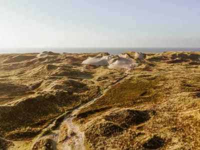 Sommerhus Efterår Klitlandskab