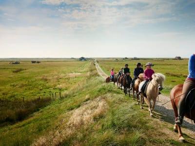 Børn Rider I Hesteflok