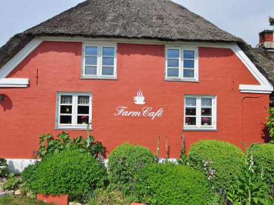 Farm Cafe Houstrup2
