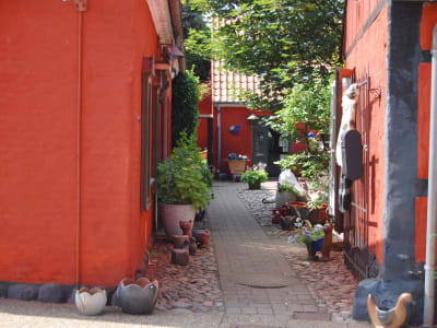 DSC 0050