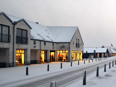 Vinter Henne By