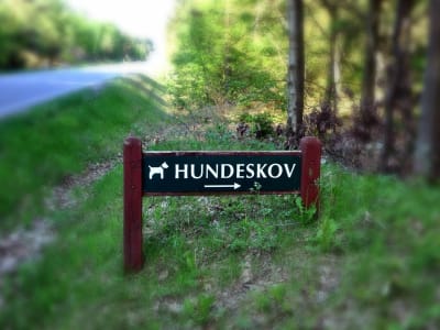 Hundeskov Husby