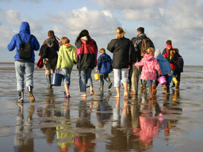 Destination Sydvestjylland Sælsafari