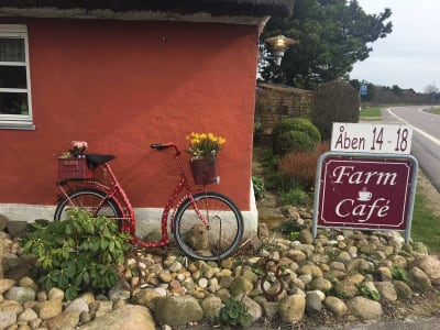 Farm Cafe Houstrup2 (1)