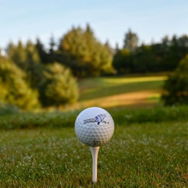 Skærbæk Mølle Golfklub