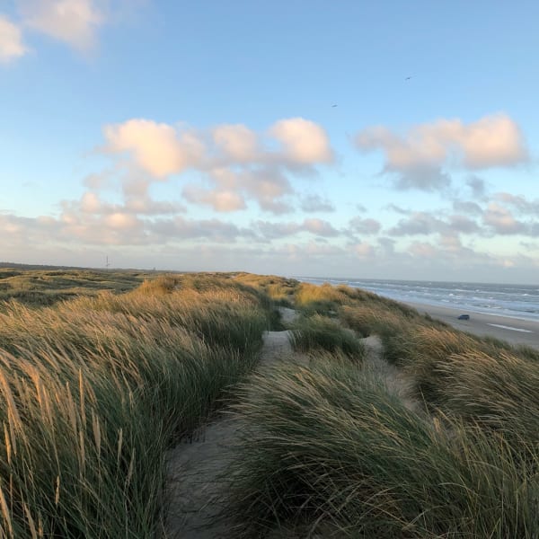 2017 Seværdighedsguide Visit West Denmark Naturpark Vesterhavet (2)
