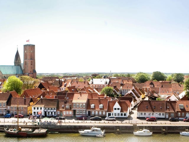 Ribe