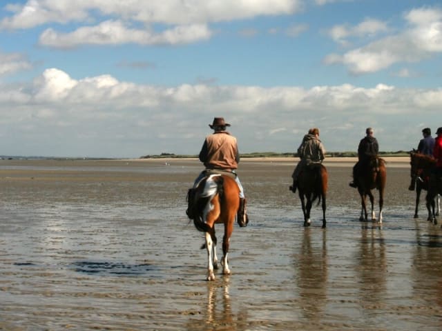 {
  "text": "Ferie med hest",
  "heading": "h5"
}