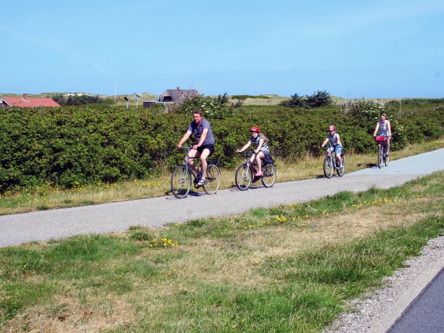 {
  "text": "Cykelferie",
  "heading": "h5"
}