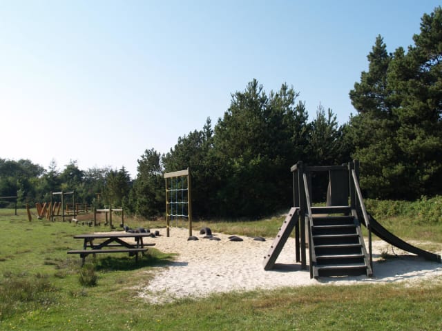 {
  "text": "Skovlegeplads",
  "heading": "h5"
}