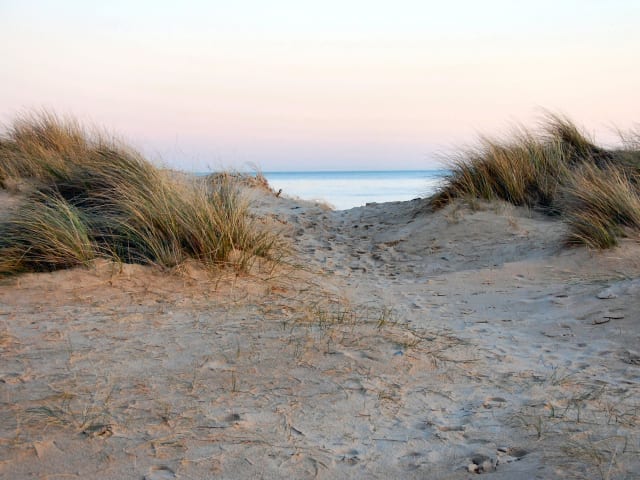 {
  "text": "Harboøre Centeret",
  "heading": "h5"
}