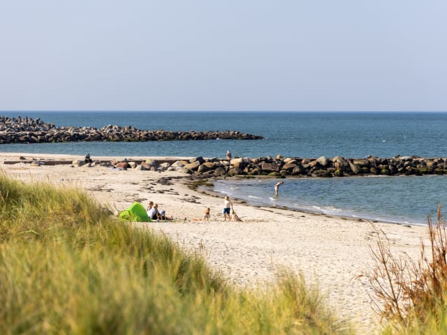 {
  "text": "Sommerferie",
  "heading": "h4"
}