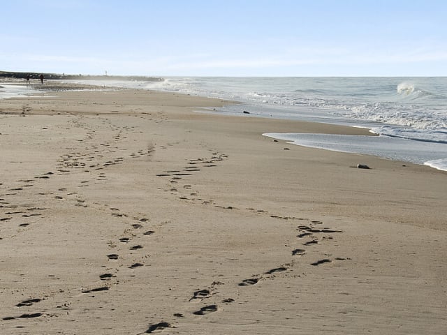 {
  "text": "Ferring Strand",
  "heading": "h5"
}