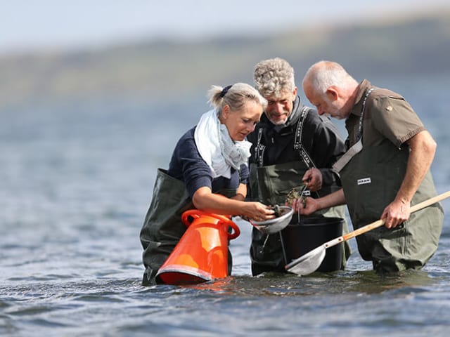 {
  "text": "Østerssafari i Limfjorden",
  "heading": "h5"
}