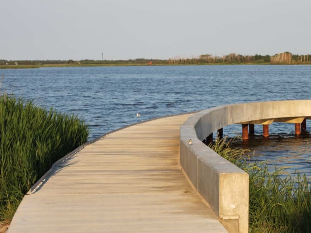 Filsø