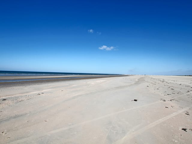 {
  "text": "Strande",
  "heading": "h3"
}