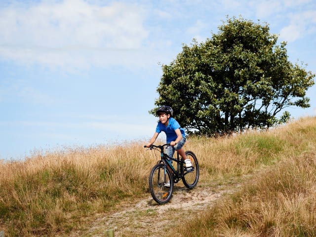 Cykelferie