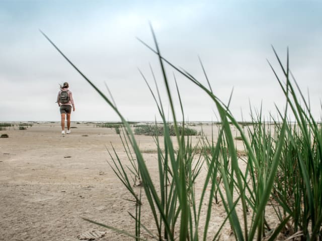 Strandene