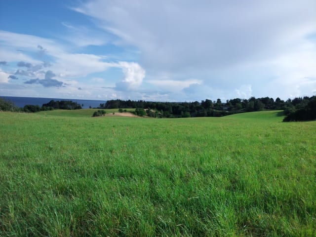 Helgenæs