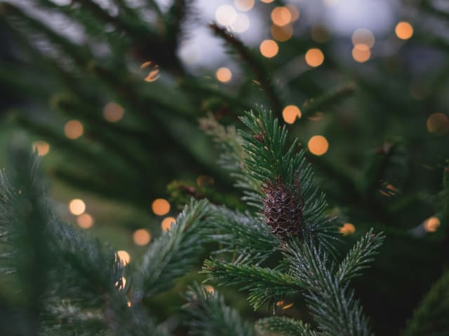 {
  "text": " Weihnachtsferien",
  "heading": "h4"
}
