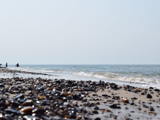 Sommer ved Vesterhavet